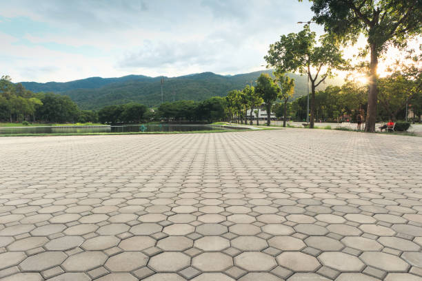 Best Best Driveway Pavers  in Rancho Murieta, CA