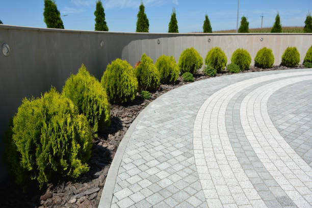 Reasons to Select Us for Your Driveway Paving Requirements in Rancho Murieta, CA